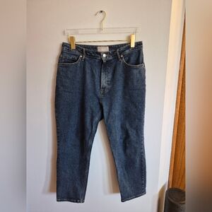 Everlane Curvy Cheeky Jean Size 32 Crop